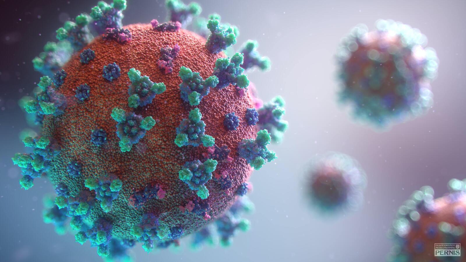 Fusion medical animation rnr8 D3 FNUNY unsplash